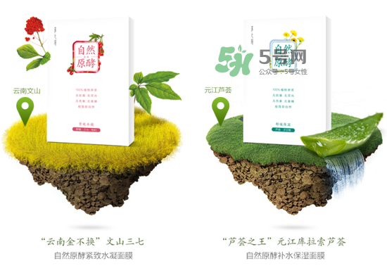 采之汲自然原酵面膜怎么用？采之汲自然原酵面膜使用心得