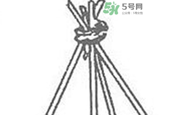 缸豆什么時候搭架？缸豆要怎樣搭架子