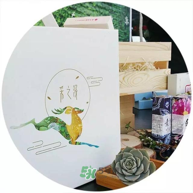 采之汲是什么牌子？采之汲是什么檔次？