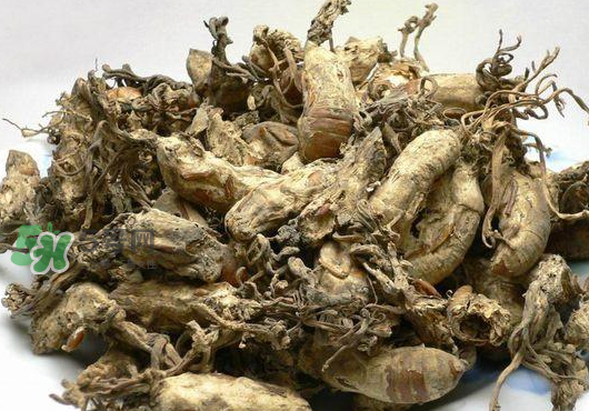 知了花多少錢一斤？野生知了花多少錢一斤2017？