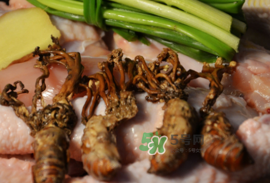 知了花多少錢一斤？野生知了花多少錢一斤2017？