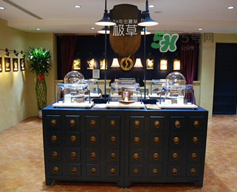 極草5x為什么不讓賣了？極草5x冬蟲夏草騙局