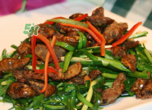 金蟬不能和什么一起吃？金蟬哪些人不能吃？