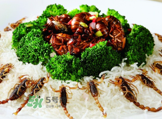 金蟬不能和什么一起吃？金蟬哪些人不能吃？