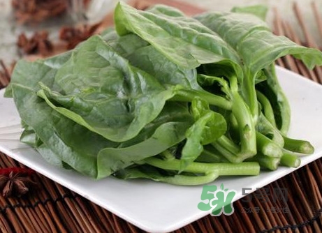 木耳菜和什么食物相克？木耳菜不能和什么一起吃