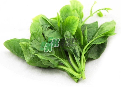 木耳菜怎么清洗？木耳菜怎么擇？