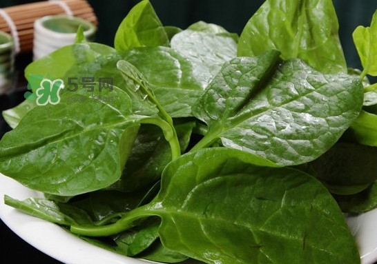 木耳菜可以生吃嗎？木耳菜可以涼拌嗎