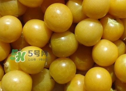 姑娘果有什么好處？姑娘果有什么功效