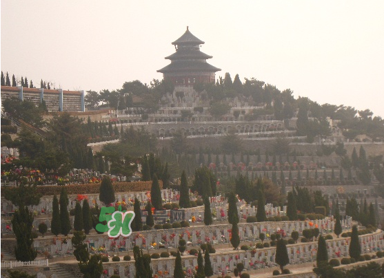 閏六月能上墳嗎？2017年閏月能遷墳嗎？