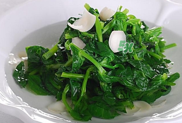 木耳菜是什么菜？木耳菜對(duì)人有哪些好處？