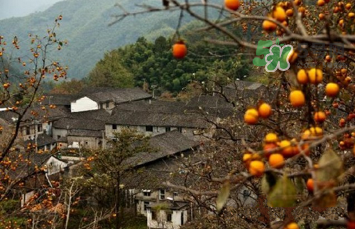 9月份去浙江穿什么？九月份去浙江穿什么衣服