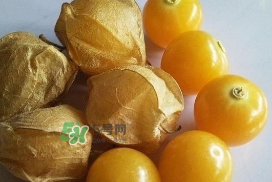 菇娘果皮有用還是果實(shí)有用？紅菇娘泡水喝用皮還是用果