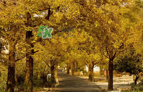 9月份去浙江穿什么？九月份去浙江穿什么衣服