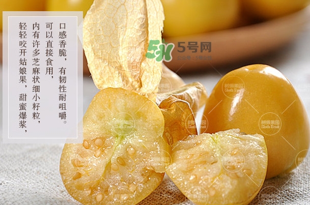 菇娘是寒性還是熱性？菇娘是哪里產(chǎn)的