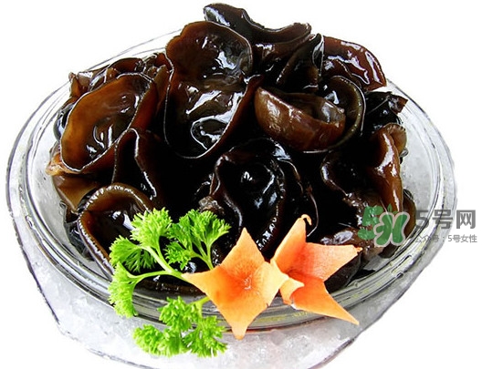 木耳菜是什么季節(jié)的菜？木耳和木耳菜有區(qū)別嗎