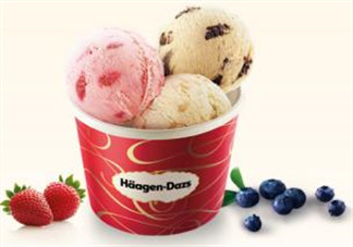 哈根達(dá)斯(H?agen-Dazs)柚子芝士蛋糕多少錢_好吃嗎？