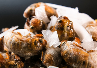 知了殼能能吃嗎？知了殼怎么吃？