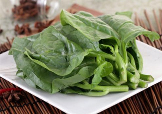 木耳菜和什么食物相克？木耳菜不能和什么一起吃