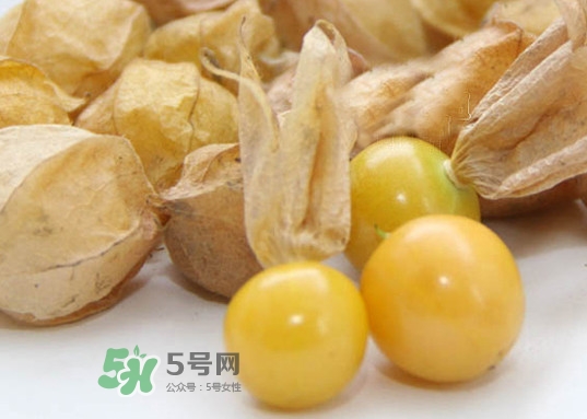 黃菇娘幾月種植？黃菇娘的種植注意事項(xiàng)