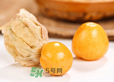 菇娘不能和什么一起吃？紅菇娘泡水喝有什么好處