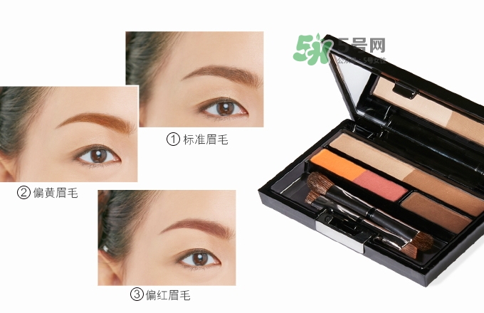 ipsa五色眉粉怎么用？ipsa茵芙莎五色眉粉使用方法