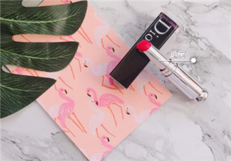 dior740和744哪個(gè)好看？迪奧740和744試色對比