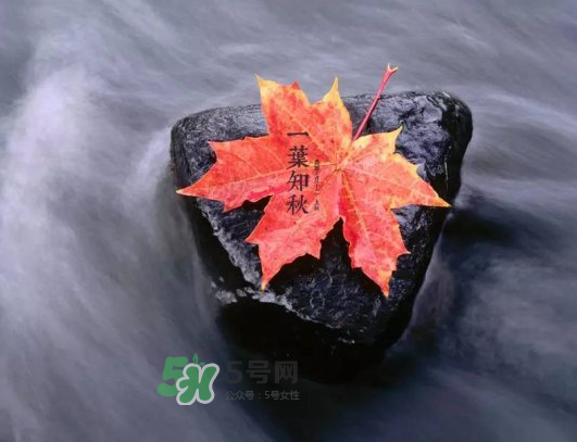 2017早立秋還是晚立秋？早立秋和晚立秋的區(qū)別