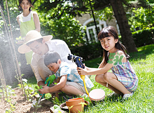 立秋可以種什么菜？立秋后可以種什么菜？