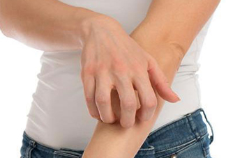 吃金蟬過敏怎么辦？吃金蟬為什么會過敏？