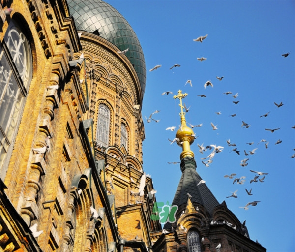 9月份去哈爾濱穿什么？九月份去哈爾濱穿什么衣服