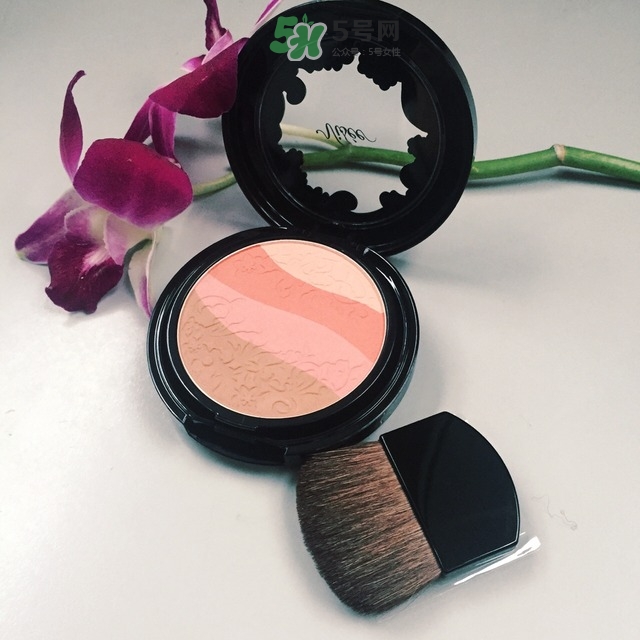 不同臉型腮紅的打法 各種臉型腮紅的畫法 不同臉型腮紅的打法 各種臉型腮紅的畫法