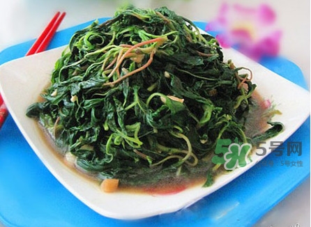 野莧菜怎么做好吃？野莧菜怎么保存