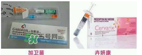 hpv疫苗9價(jià)4價(jià)2價(jià)有什么區(qū)別？hpv疫苗三款應(yīng)該怎么選？
