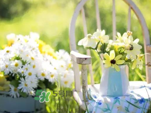 閏六月為什么熱？2017閏六月會(huì)多熱一個(gè)月嗎？