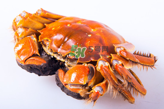 大閘蟹多少錢一斤2017？2017大閘蟹價(jià)格