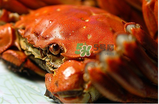 大閘蟹多少錢一斤2017？2017大閘蟹價(jià)格