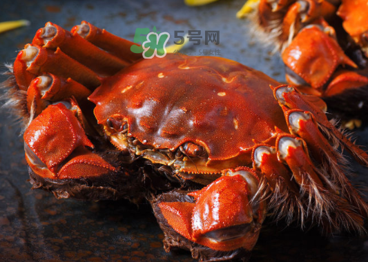 2017年陽(yáng)澄湖大閘蟹多少錢(qián)一斤？2017陽(yáng)澄湖大閘蟹價(jià)格