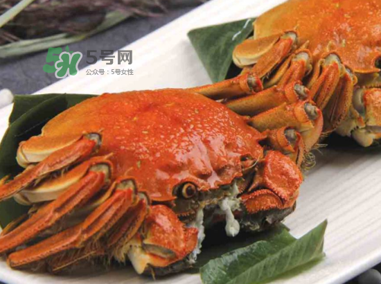 2017盤錦河蟹多少錢一斤？2017盤錦河蟹價格預(yù)測