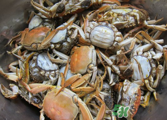 河蟹多少錢一斤2017？2017河蟹價格