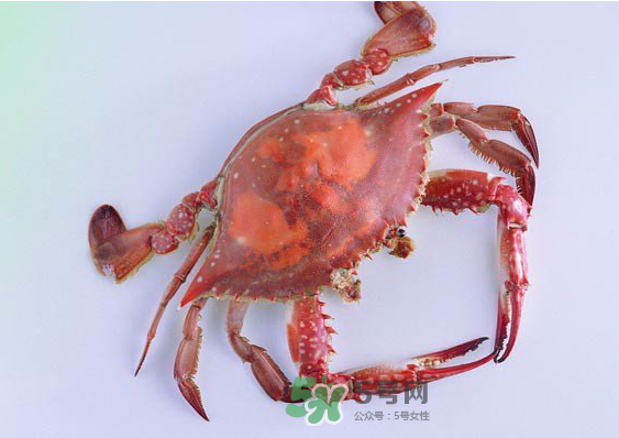 海蟹多少錢一斤2017？2017海蟹價格