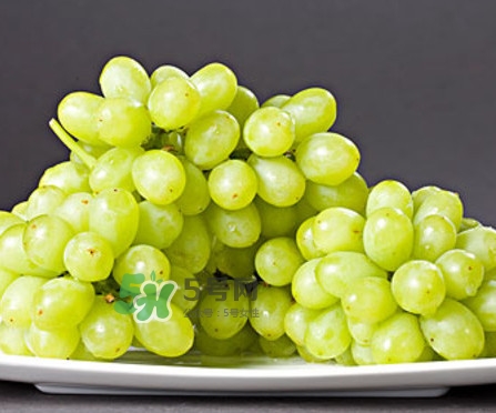 馬奶葡萄是提子嗎？馬奶葡萄怎么洗？