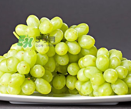 馬奶葡萄幾月成熟？吃馬奶葡萄有什么好處？