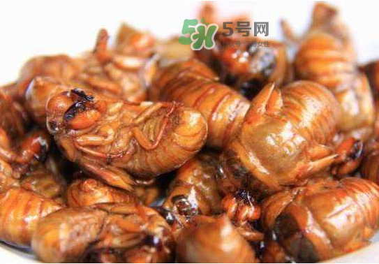 立秋后的知了還能吃嗎？立秋還有知了猴嗎？