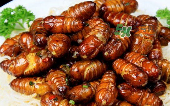 立秋后的知了還能吃嗎？立秋還有知了猴嗎？