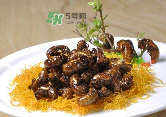 立秋后的金蟬能吃嗎？立秋后還有金蟬嗎？