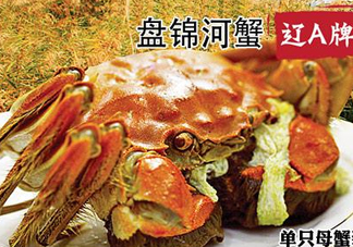 2017盤錦河蟹多少錢一斤？2017盤錦河蟹價(jià)格預(yù)測(cè)