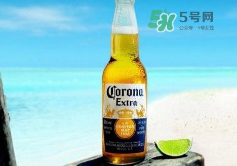 科羅娜啤酒多少錢一瓶？科羅娜啤酒好喝嗎