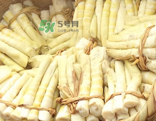 苦筍做法有哪些？苦筍怎么處理才不會(huì)苦