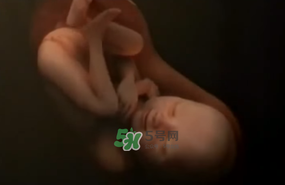 懷孕初期怎么保胎？陰道出血是流產(chǎn)征兆嗎？