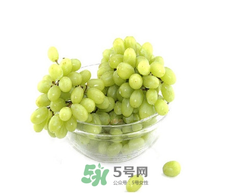 馬奶葡萄是提子嗎？馬奶葡萄怎么洗？